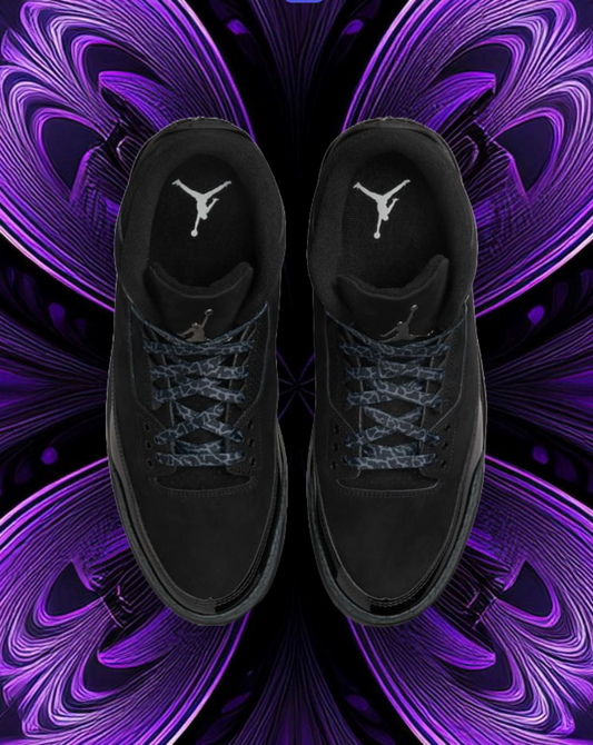 Jordan 3 black cat
