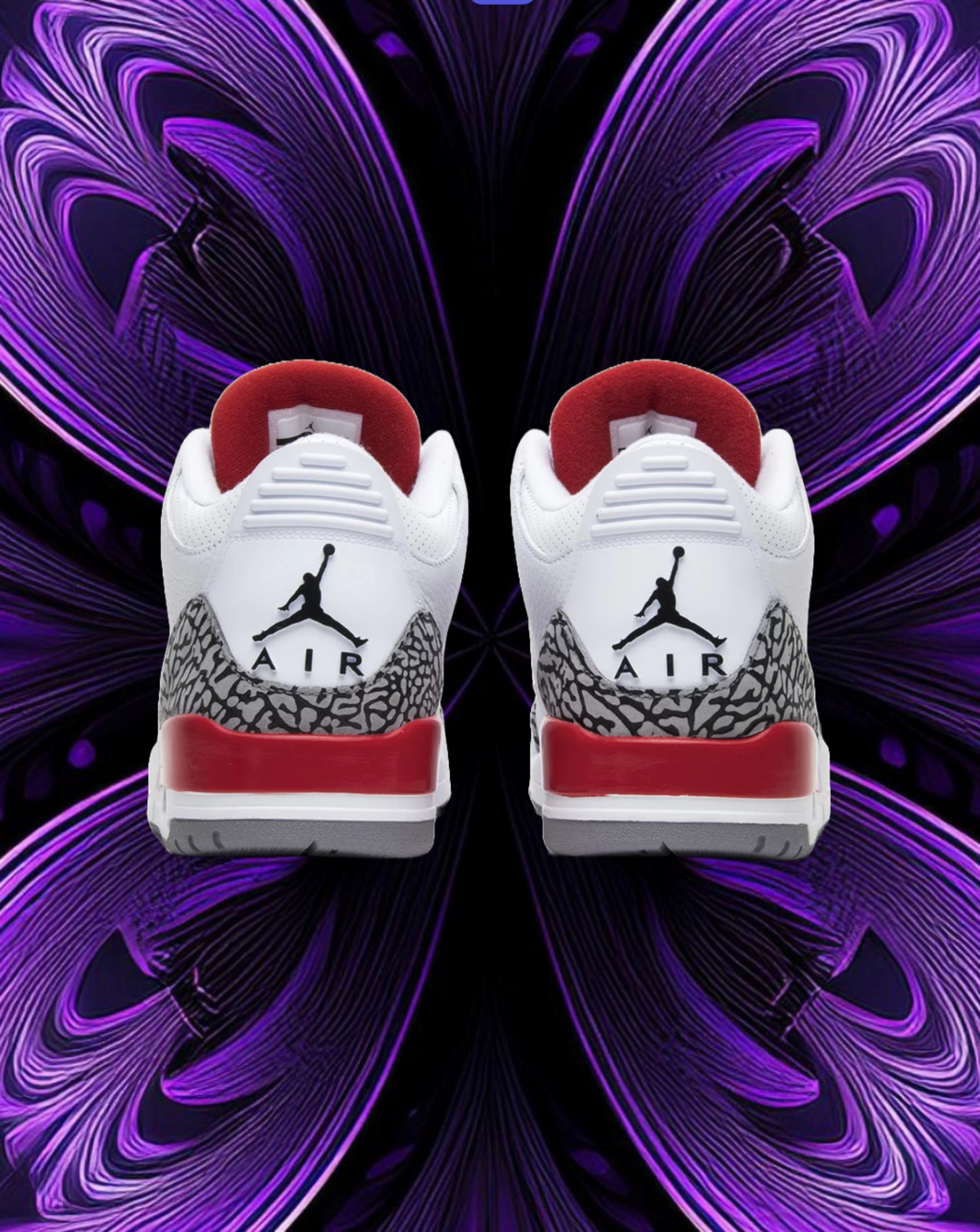 Jordan 3 hall of fame