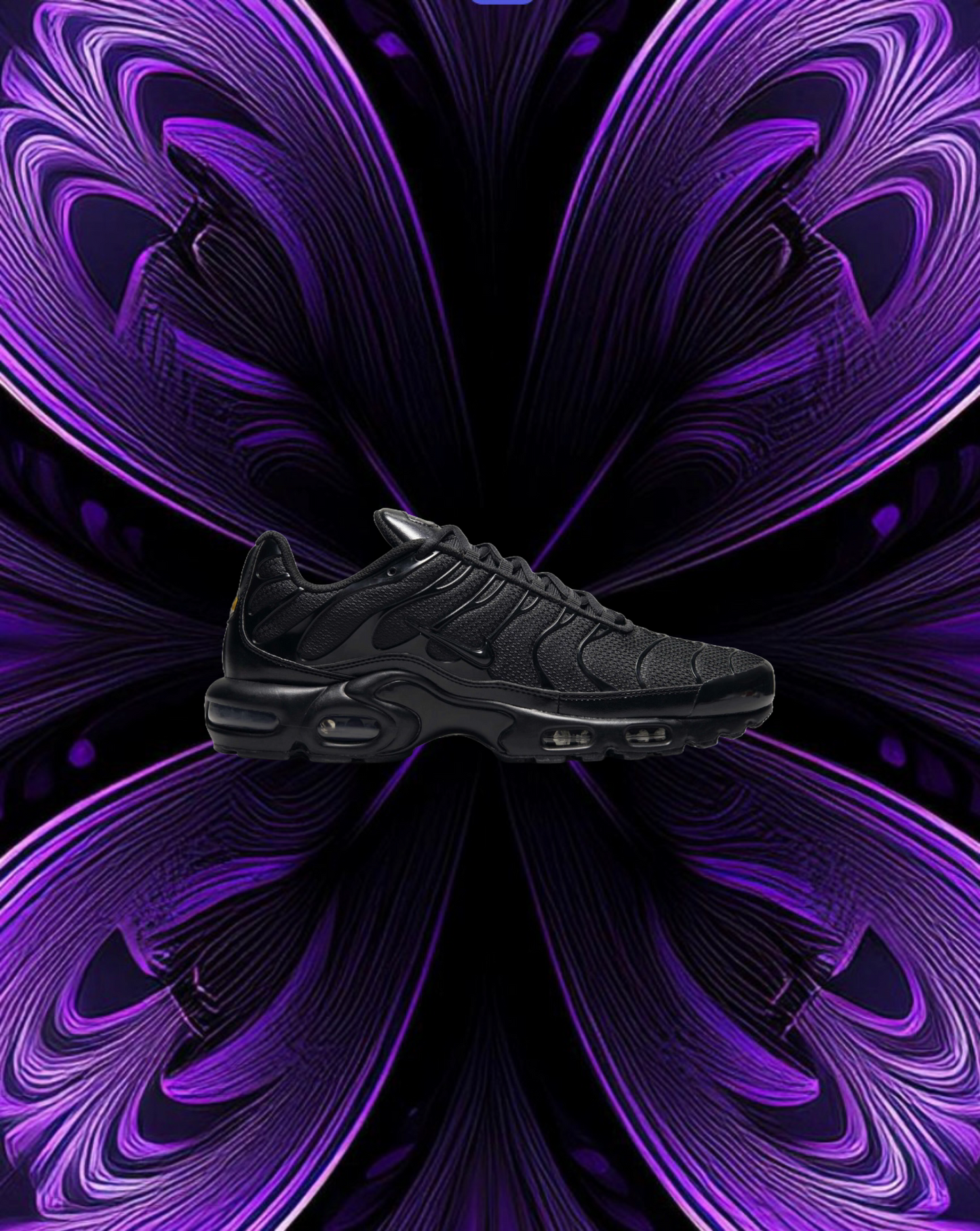 Nike air max plus (triple black)