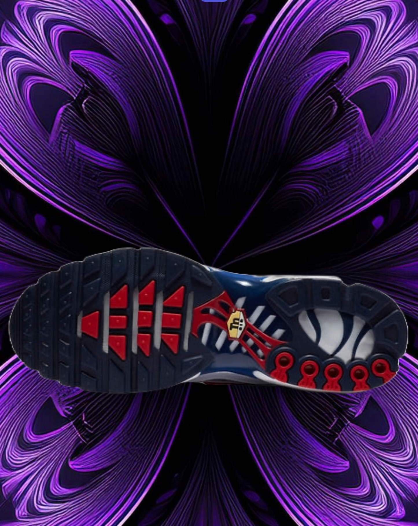 Air max tn euro tour