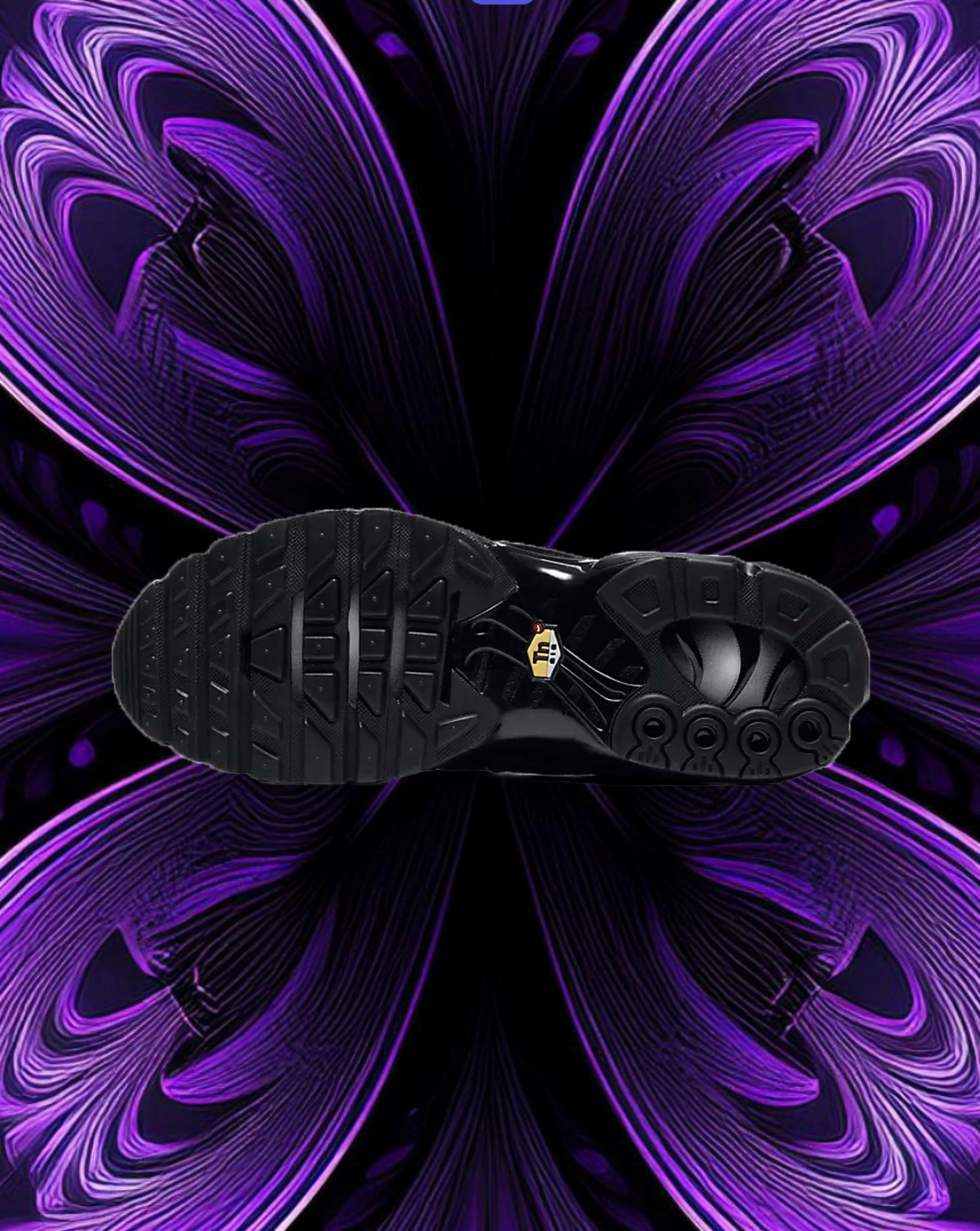 Nike air max plus (triple black)