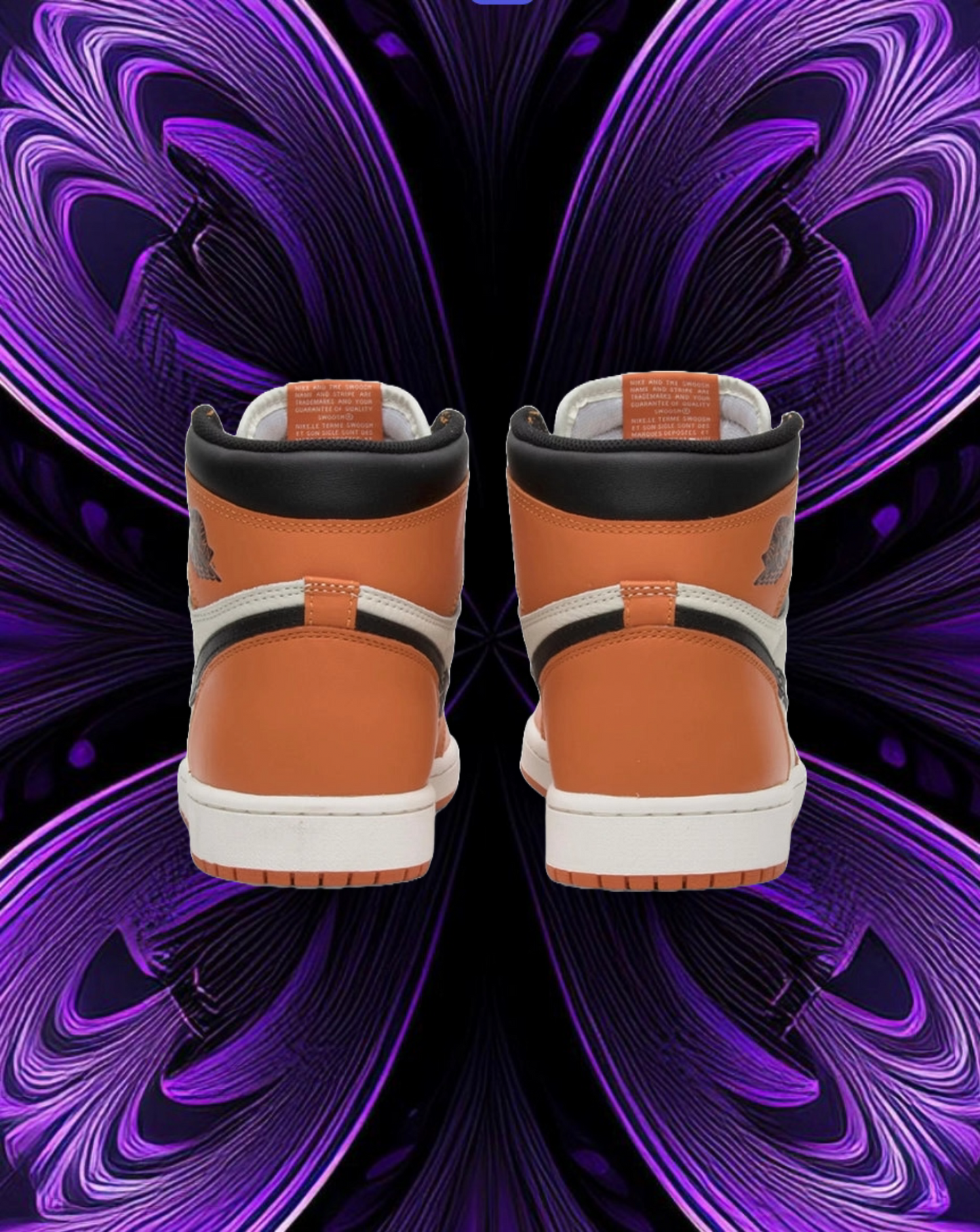 Jordan 1 high (shattered backboard)