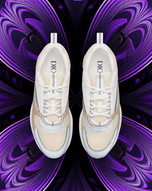 Dior b22 white reflective