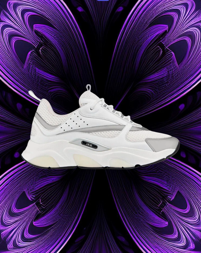 Dior b22 white reflective