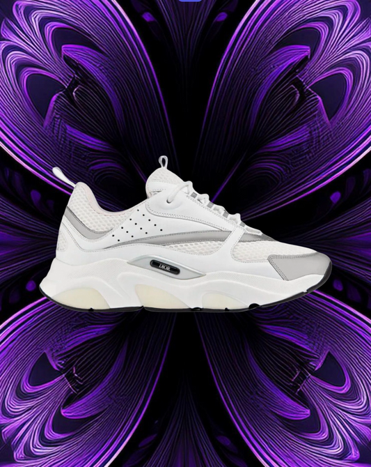 Dior b22 white reflective