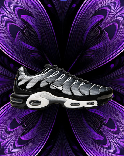 Air max tn (silver & black)