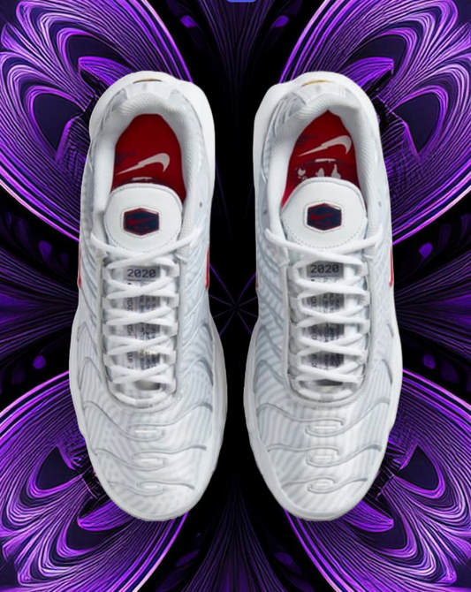 Air max tn euro tour