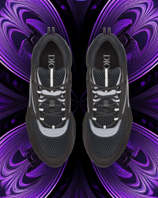 Dior b22 (black reflective)