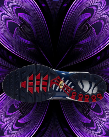 Air max tn euro tour