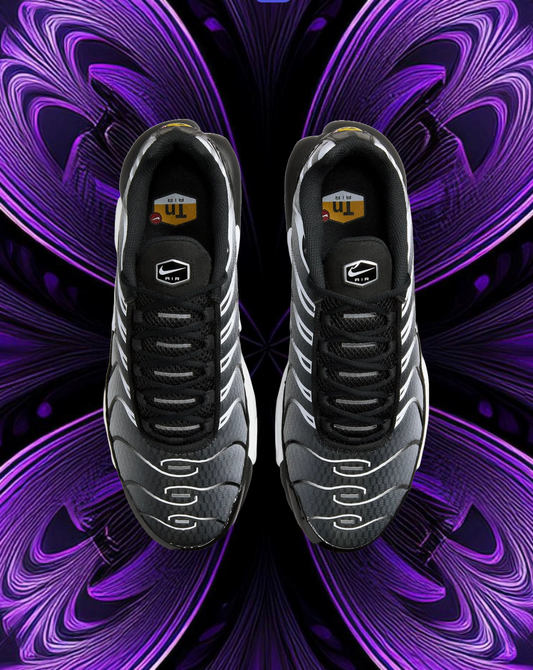 Air max tn (silver & black)