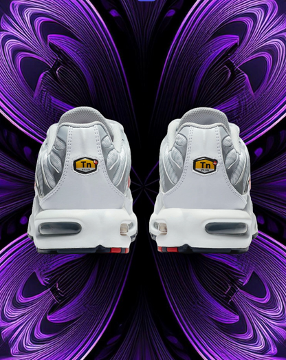 Air max tn euro tour